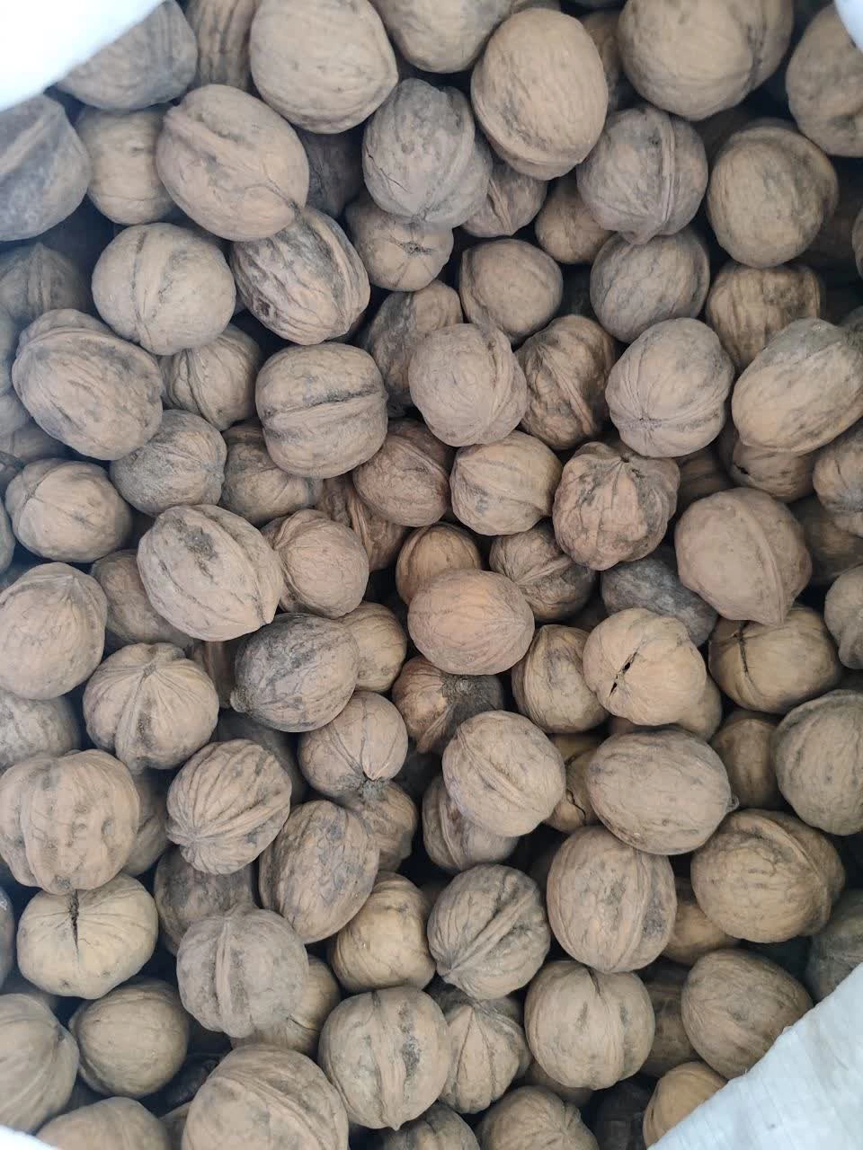 گردو تویسرکان1 کیلویی