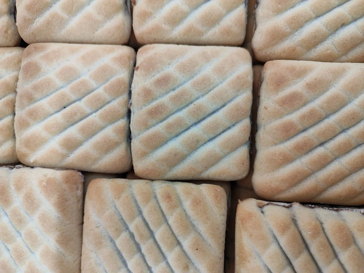 کلمپه نگین ساده کیلویی