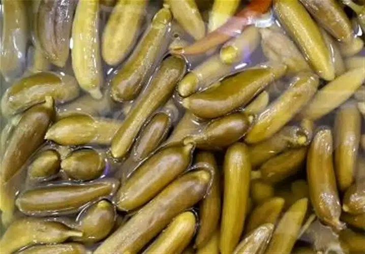 خیار شور حلب کیلویی مطهر