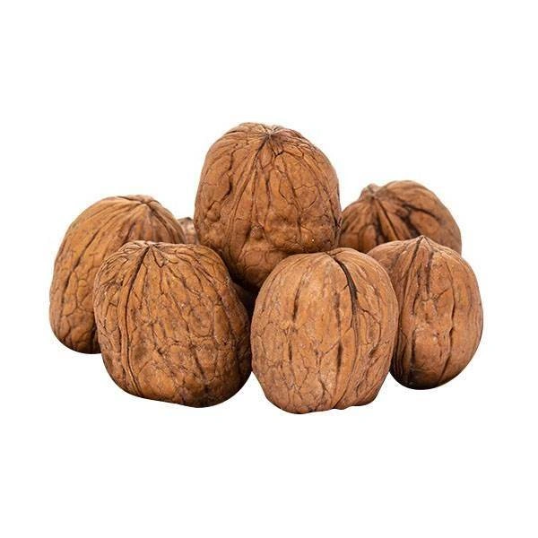 گردو با پوست فله