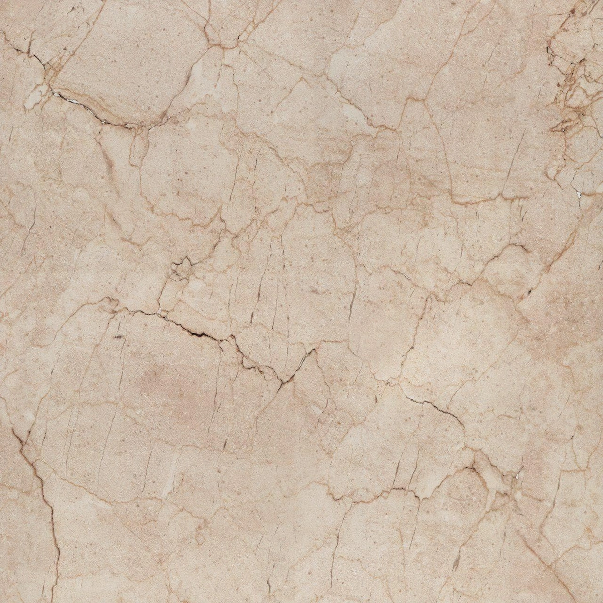سرامیک کف مدل آرکادیا سایز 60×60 کاشی آسیا