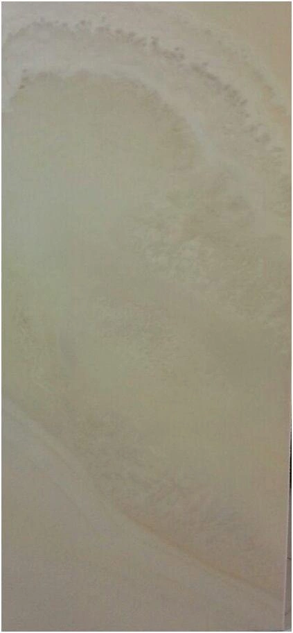 سرامیک مدل گلامور سایز 120×40 شرکت کاشی آسیا