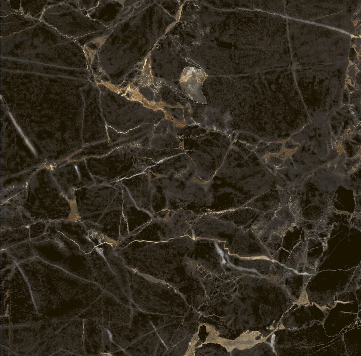 سرامیک کف مدل گلدن بلک سایز 60×60 کاشی آسیا
