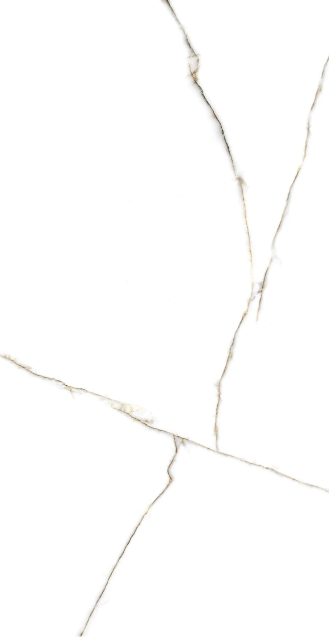 سرامیک دیواری مدل دایان سایز 120×60 کاشی آسیا 