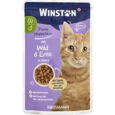 پوچ گربه وینستون با شکار و اردک در ژله 100 گرمی