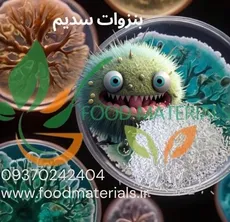 بنزوات سدیم