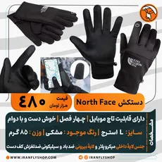 دستکش North face