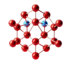MOLECULAR BIOLOGY
