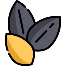 لایت