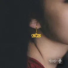 پلاک bts کد 6431