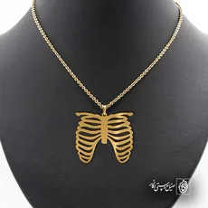 پلاک  قفسه سینه کد 40702