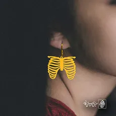 پلاک  قفسه سینه کد 40702