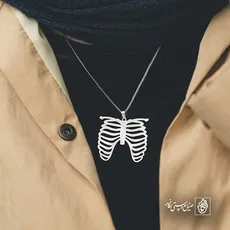 پلاک  قفسه سینه کد 40702