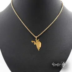 پلاک  شبح کد 40715