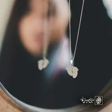 پلاک  پا کد 40903
