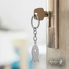 پلاک  موشک کد 41066
