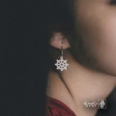 پلاک  سکان کد 41074
