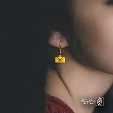 پلاک  دوربین کد 41111