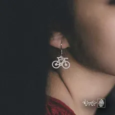 پلاک  دوچرخه کد 41146