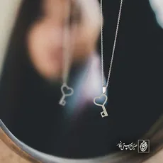پلاک  قلب کد 41300