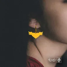 پلاک  قلب کد 41365