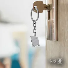 پلاک  گربه کد 42011