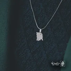 پلاک  گربه کد 42011