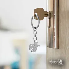 پلاک  کفشدوزک کد 42094