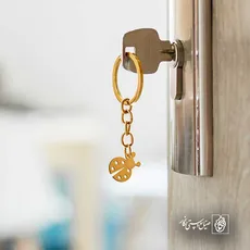 پلاک  کفشدوزک کد 42094