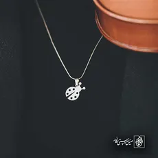 پلاک  کفشدوزک کد 42094