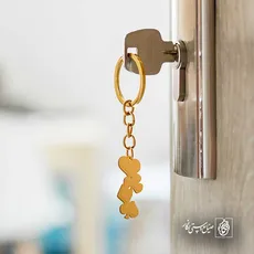 پلاک  پاسور کد 42679