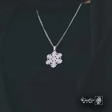 پلاک  برف کد 42826