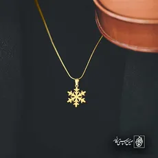پلاک  برف کد 42833