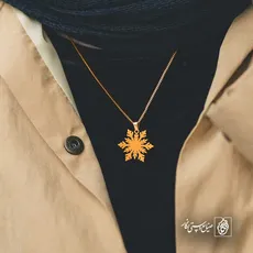 پلاک  برف کد 42860
