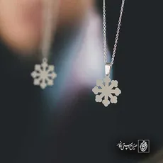 پلاک  برف کد 42866