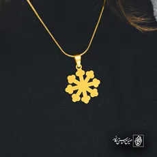 پلاک  برف کد 42866