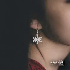 پلاک  برف کد 42868