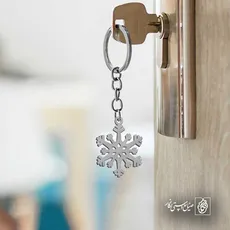 پلاک  برف کد 42868