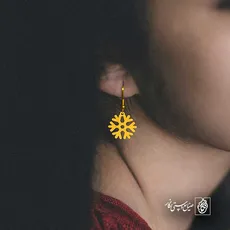 پلاک  برف کد 42869
