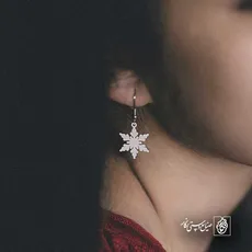 پلاک  برف کد 42872