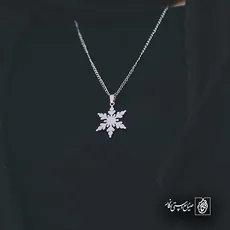 پلاک  برف کد 42872