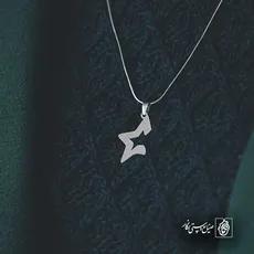 پلاک  ستاره کد 43158