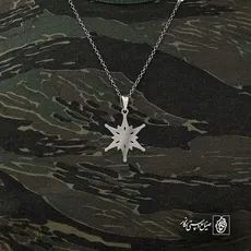 پلاک  ستاره کد 43159