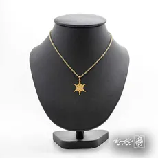 پلاک  ستاره کد 43159