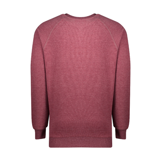 تیشرت آستین رگلان مردانه - 