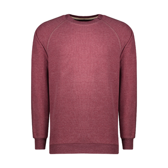 تیشرت آستین رگلان مردانه - 