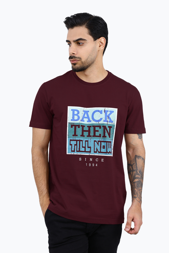 تیشرت طرح دار مردانه - 