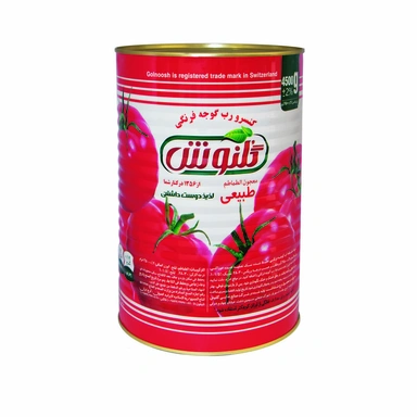 رب گوجه ی 4.5 کیلویی گلنوش